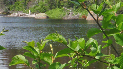 À la rivière Romain. L'examen de la topographie permet de déterminer, souvent, l'emplacement des sites préhistoriques surtout. 
